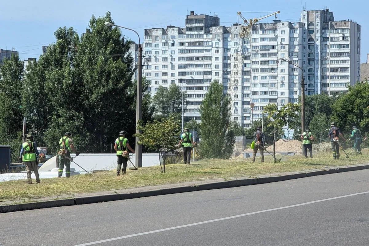 Петиція про заборону частого косіння трави: як змінити озеленення міст